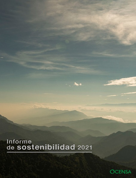 Informe 2021