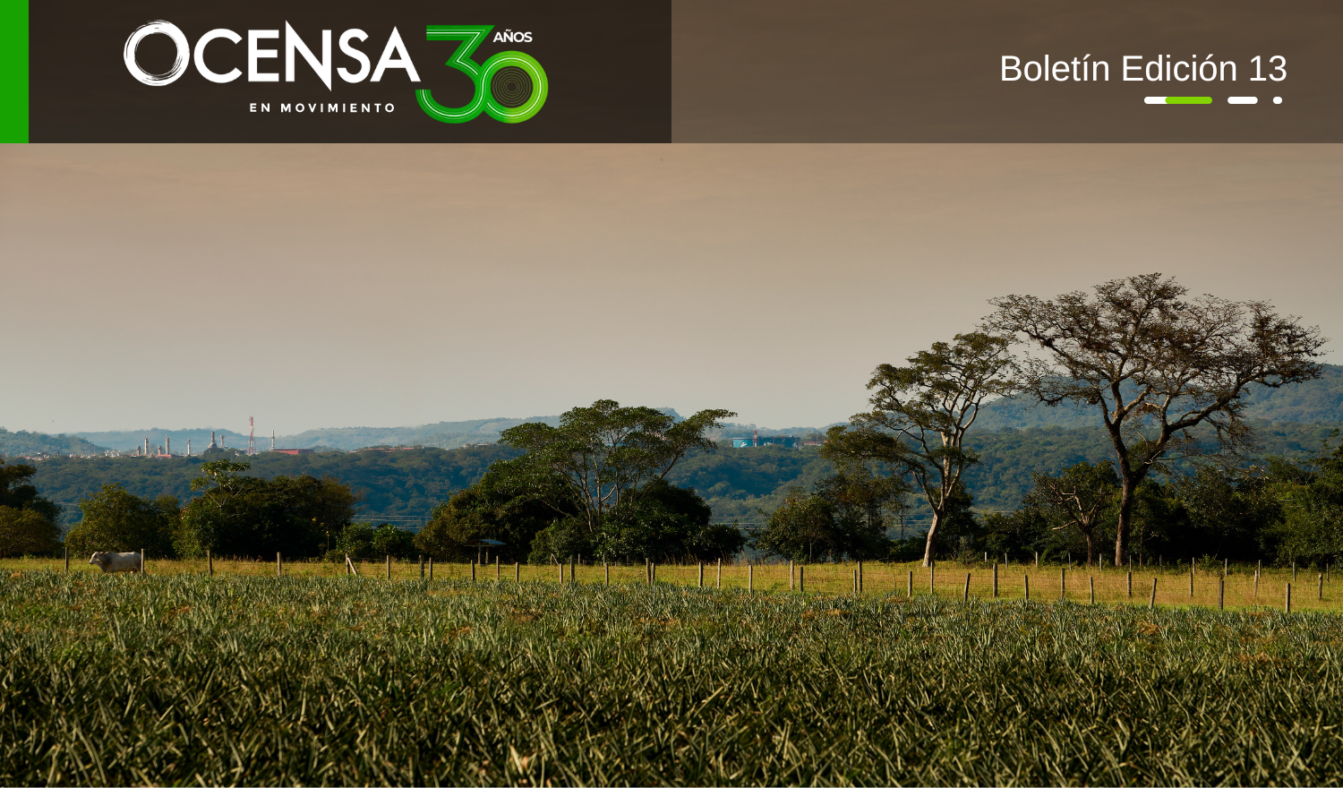 OCENSA 30 años