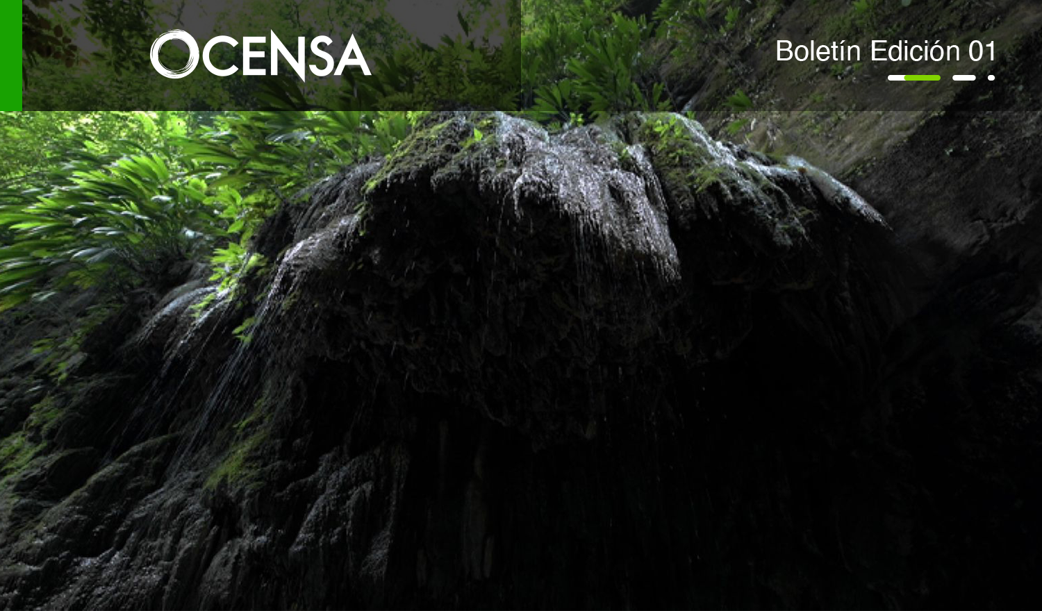Somos carbono neutro