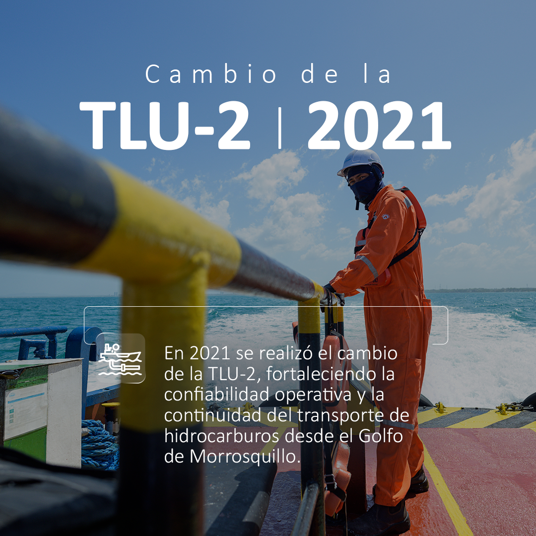 Concesión portuaria y modernización de infraestructura