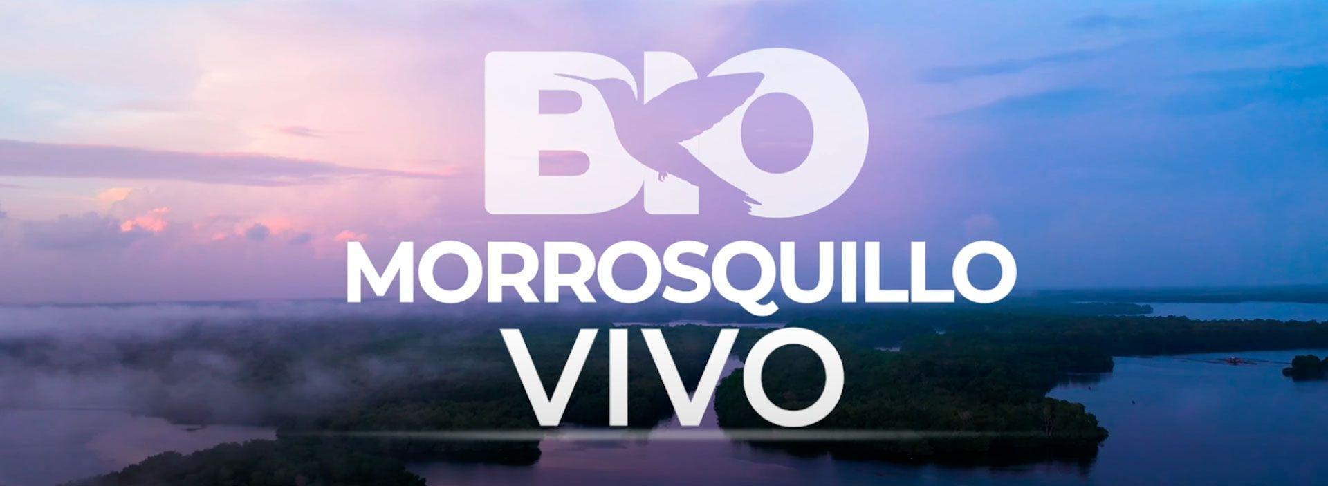 BIO Morrosquillo Vivo