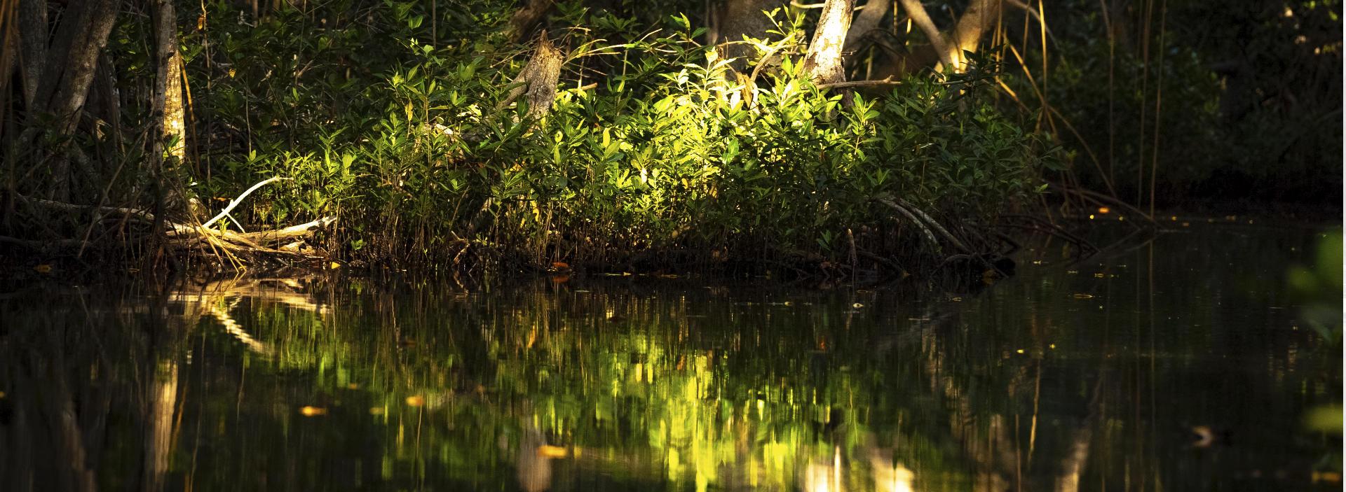Ecopetrol se consolida como referente global en gestión responsable del agua