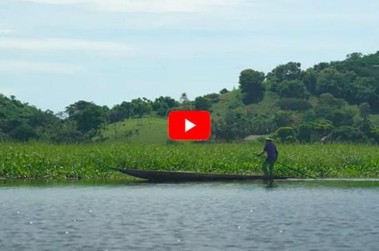 Ecosistemas priorizados en nuestra estrategia de biodiversidad
